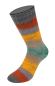 Mobile Preview: Eine Socke aus der Cool Wool 4 Socks Print in Farbe 7794